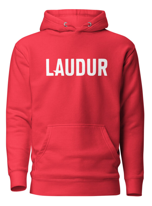 LAUA VIIN